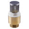 with stainless steel filter spring brass check valve NPT BSPT 1/2" to 4"