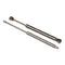 Stainless Steel Gas Spring